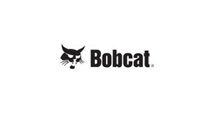 bobcat