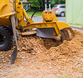 Stump Cutters